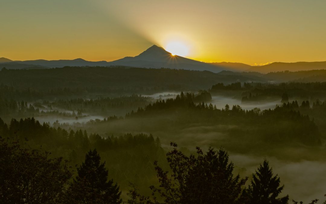 5 Roadside Pullouts That Make a Long Drive Feel Less Rushed