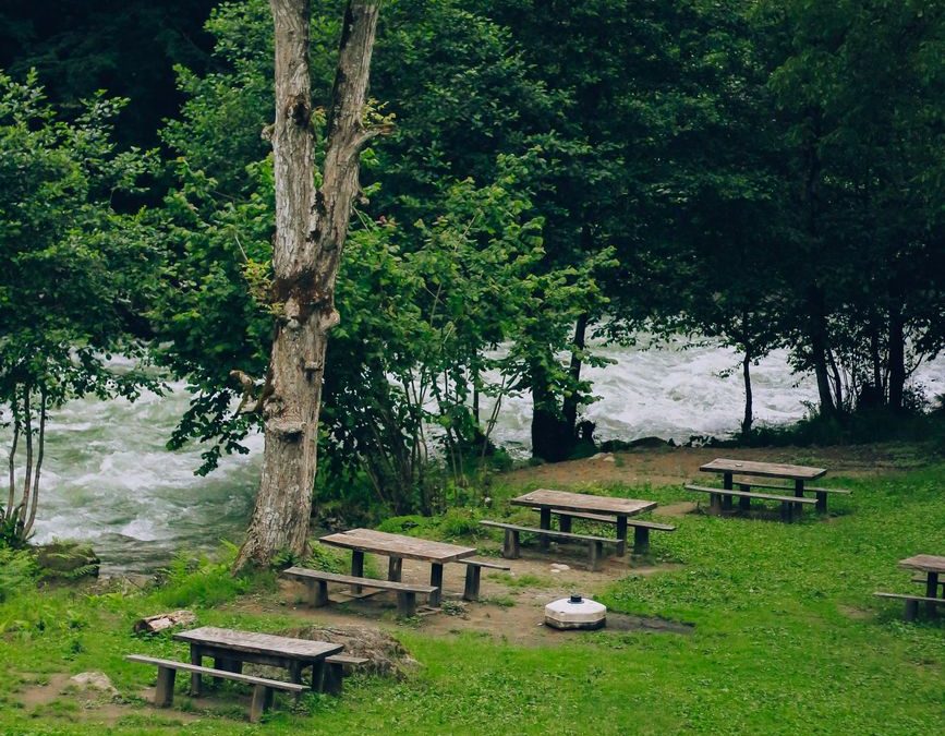 Tranquil riverside campsite with wooden benches and lush greenery, perfect for outdoor activities.