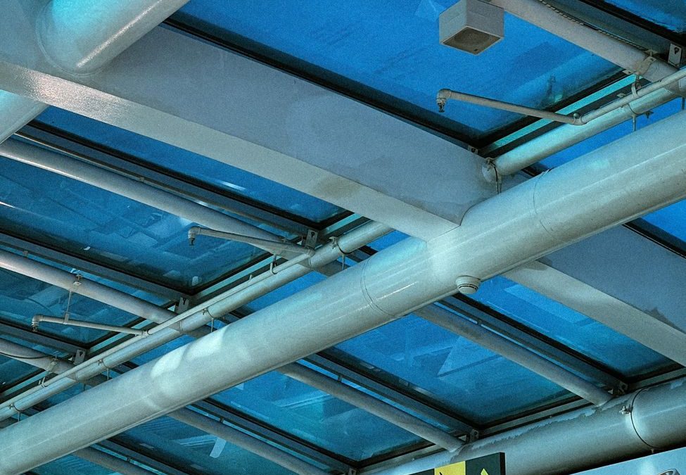 5 Airport Signs Travelers Keep Missing and Regret Later 1 A modern airport terminal with blue glass roof and directional signs for arrivals in multiple languages.